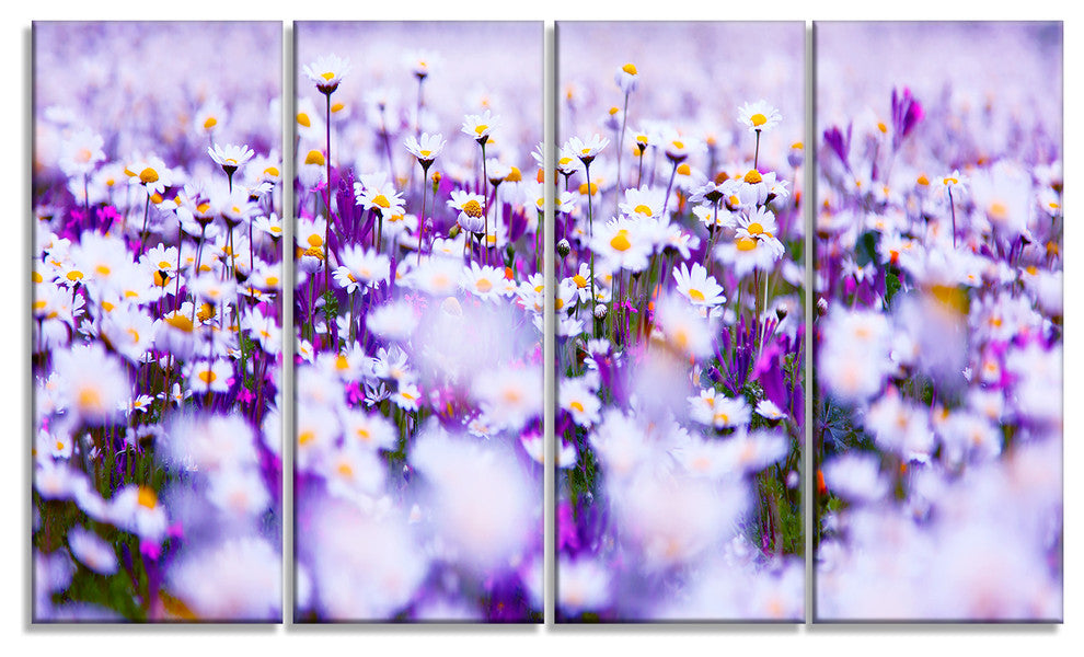 Daisy Field Photography Panorama, Floral Canvas Print, 48"x28", 4 Panels
