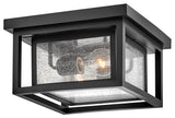 Hinkley Republic Small Flush Mount, Black