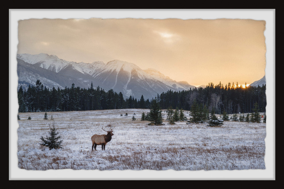 "Snowy Winter" Framed Painting Print, 36x24