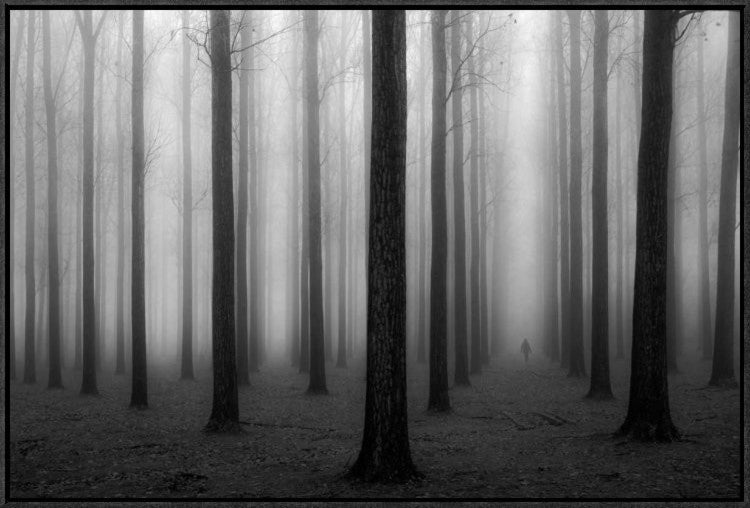 "In A Fog" Framed Canvas Giclee by Jochen Bongaerts, 31x21"