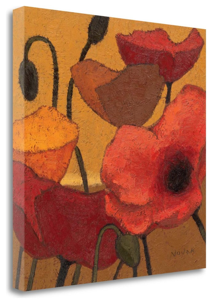"Poppy Curry II" By Shirley Novak, Giclee Print on Gallery Wrap Canvas