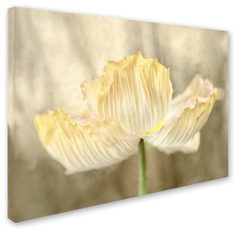 Cora Niele ''Sunshine Poppy'' Canvas Art