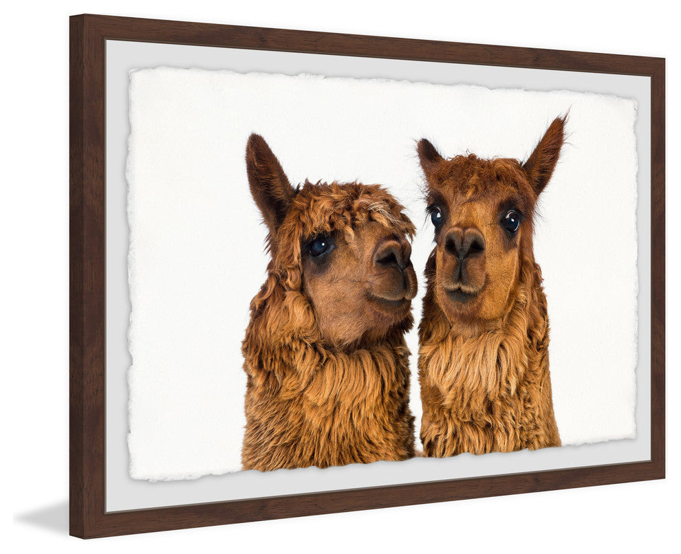 "Brown Llama Pair" Framed Painting Print, 30"x20"