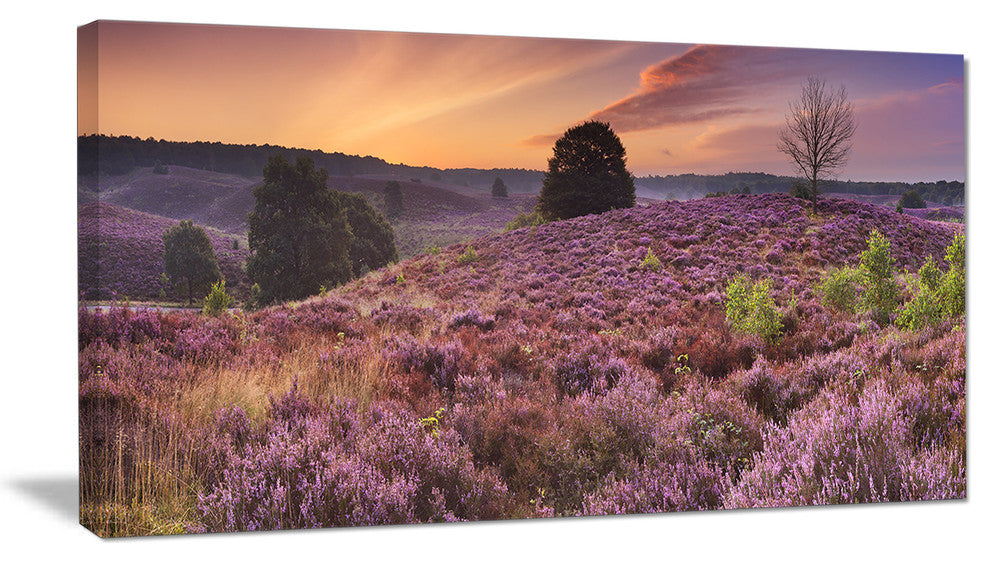 Blooming Heather at Dawn Panorama, Landscape Canvas Art Print, 32"x16"