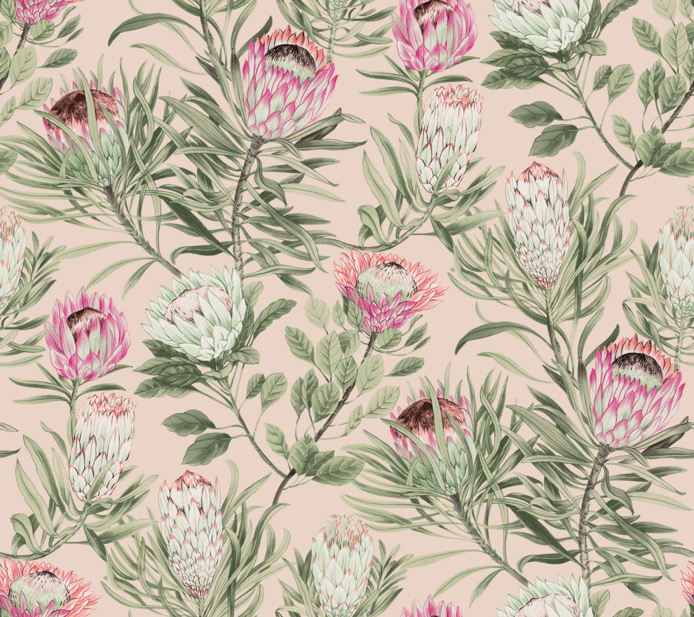 Protea Wallpaper