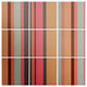 Deny Designs Natalie Baca Baja Mexicali Stripe Wood Wall Mural, 4'x4'
