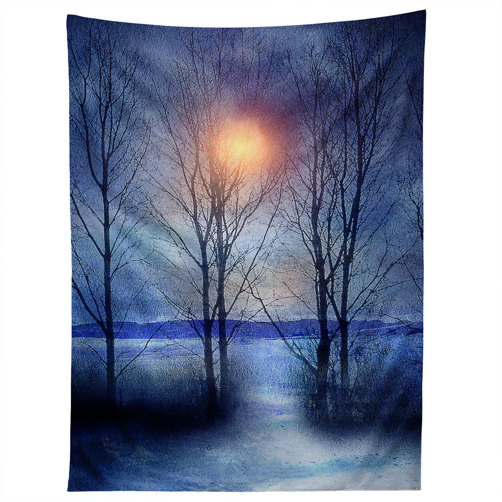 Deny Designs Viviana Gonzalez Winter Sonata Tapestry