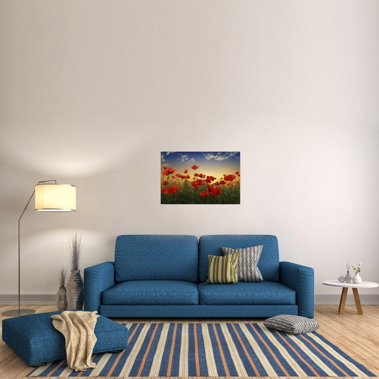 "Poppies" Stretched Canvas Giclee by Tais, 36x24"