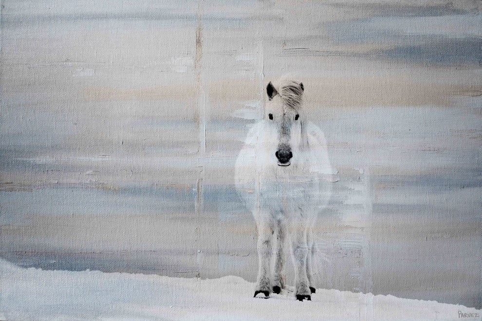 "White Horse Forward" Painting Print on Wrapped Canvas, 30"x20"