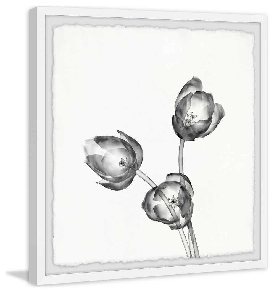 "Trio of Fresh Flowers" Framed Painting Print, 32x32