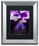 PIPA Fine Art ''Stigma of Iris'' Matted Framed Art, 14x11
