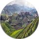 Vineyards In Italy Panoramic, Photo Large Disc Metal Wall Art, 36"