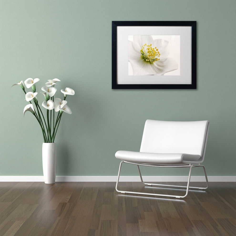 Cora Niele ''White Helleborus'' Matted Framed Art
