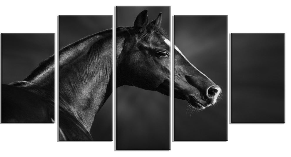Black Arabian Horse Portrait, Animal Canvas Art Print, 60"x32", 5 Panels