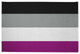 Asexual Chenille Rug, Asexual, 2'x3'