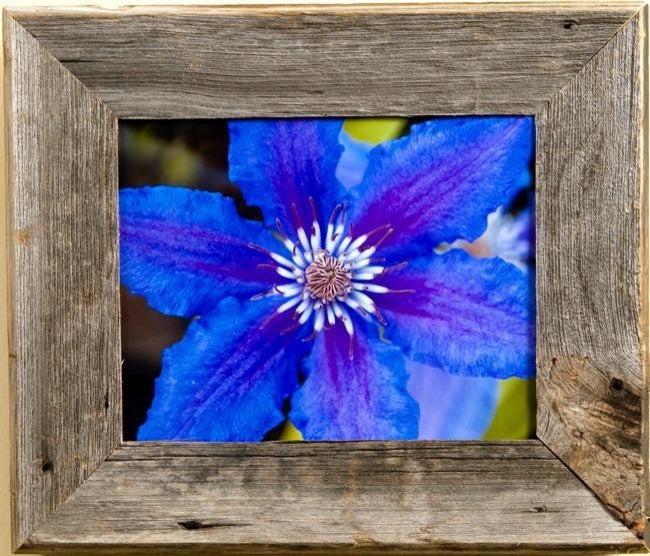 8x20, Barn Wood Frame, Aspen Series, Plexiglass