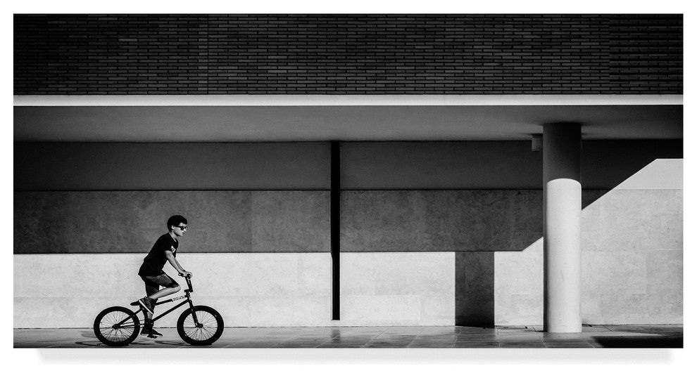 Joao Castro 'Shades Of Gray' Canvas Art, 19"x10"