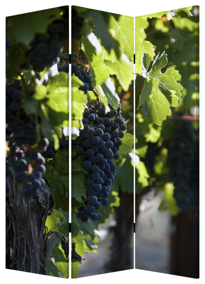 HomeRoots 1" x 48" x 72" Multi Color Wood Canvas Wine Country Screen