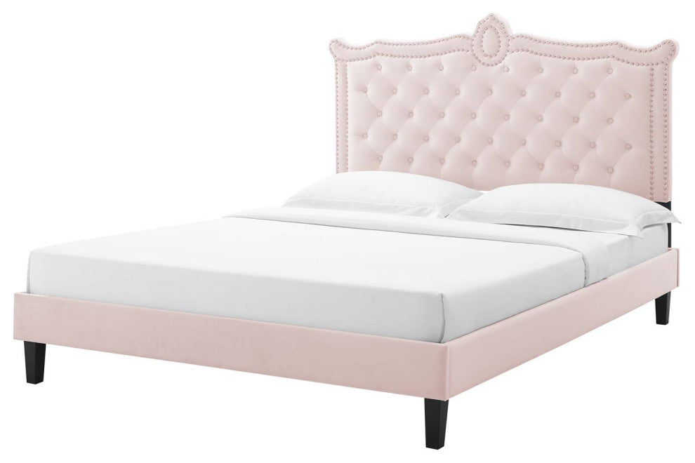 Platform Bed Frame, Nailhead, Queen Size, Pink, Velvet, Modern, Guest Suite