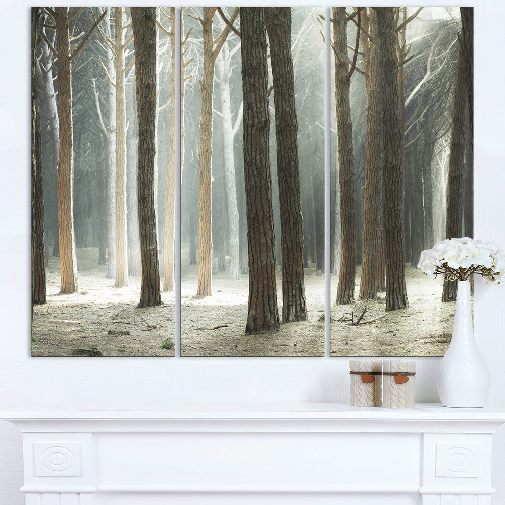 "Maritime Pine Tree Forest With Rays" Forest Metal Wall Art, 3 Panels, 36"x28"