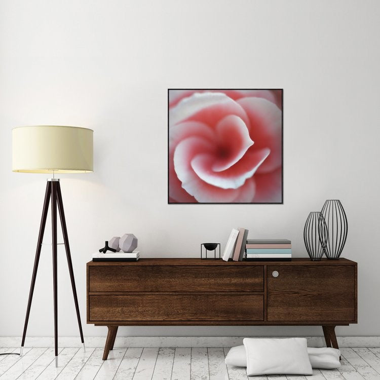 Begonia, 36"x36"