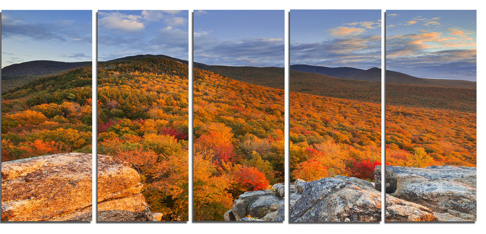 Endless Forests in the Fall Foliage, Landscape Canvas Print, 60"x28", 5 Panels