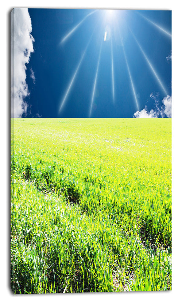 Sunny Field with Green Grassland, Oversized Landscape Canvas Art, 16"x32"