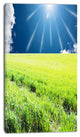 Sunny Field with Green Grassland, Oversized Landscape Canvas Art, 16"x32"