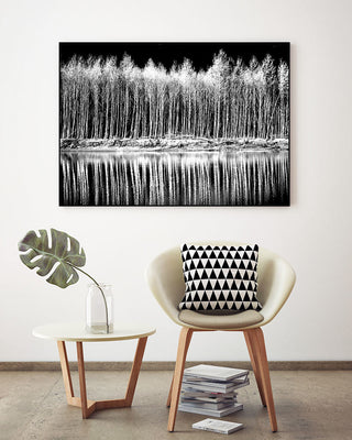 "Photograph 1" Art block Framed Canvas, 40"x30"