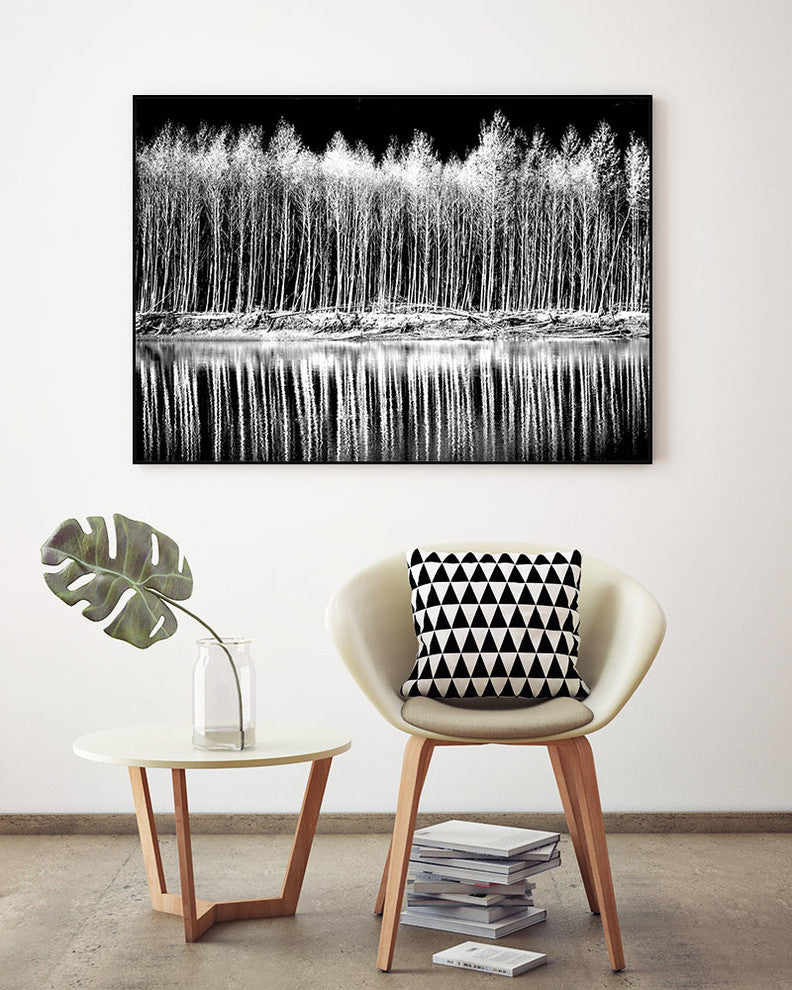 "Photograph 1" Art block Framed Canvas, 40"x30"