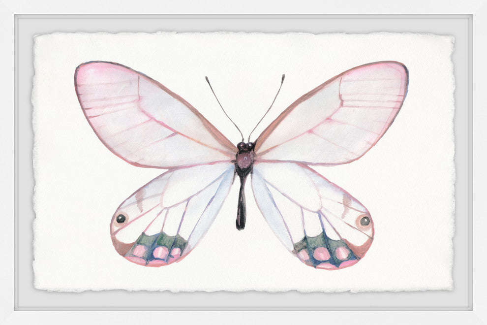 "Pale Pink Butterfly" Framed Painting Print, 45"x30"