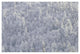 "Winter forest, British Columbia" Digital Paper Print by Tim Fitzharris, 20"x14"