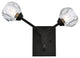 2 Light Wall Sconce, Black