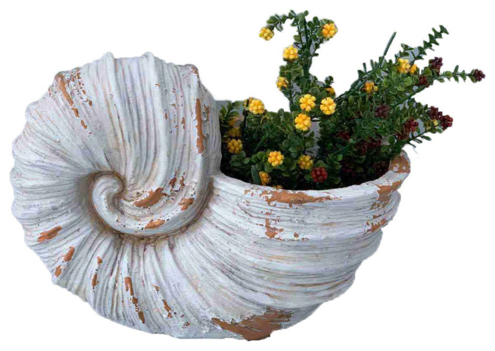9" Distressed Cream and Terra Cotta Conch Shell Planter