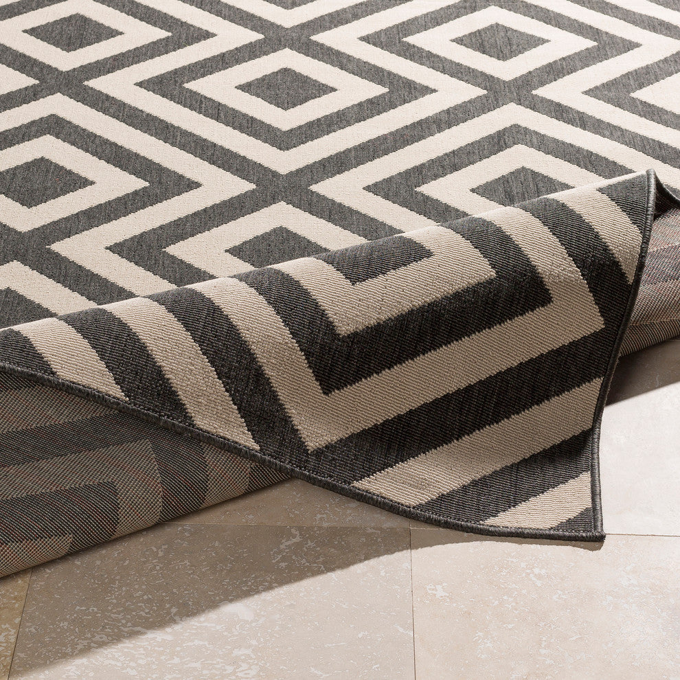 Alfresco Area Rug, 3'6"x5'6"