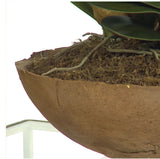 Large White Orchid Faux Floral