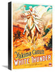 "White Thunder" Stretched Canvas Giclee by Hollywood Photo Archive, 12x18"