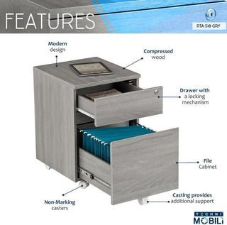 Techni Mobili Rolling 2-Drawer Vertical Filing Cabinet, Gray