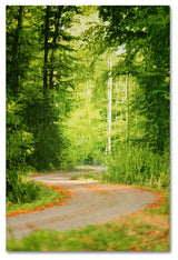 'S Road' Canvas Art by Philippe Sainte-Laudy