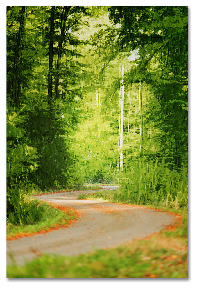 'S Road' Canvas Art by Philippe Sainte-Laudy