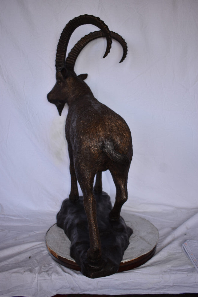 Standing Lifesize Mountain Goat Bronze Statue Size: 22"L x 36"W x 48"H.