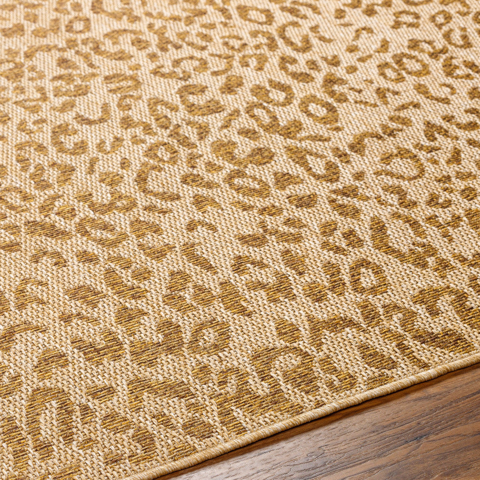 Surya Pismo Beach PMB-2300 Indoor/Outdoor Area Rug