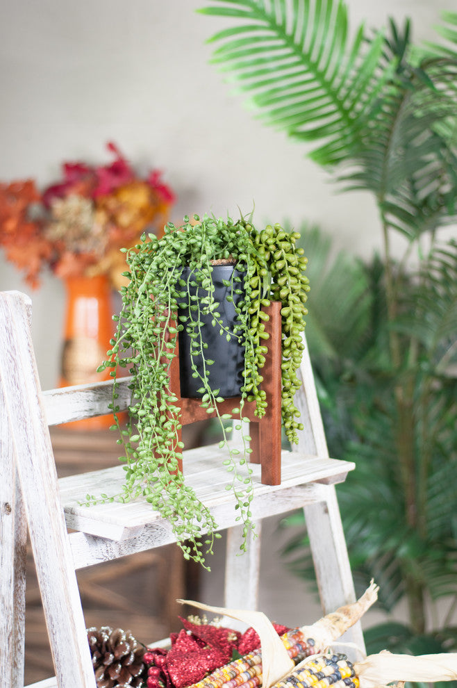 Modern Ceramic Cylinder Pot 5'' Black With Wood Plant Stand Walnut Color