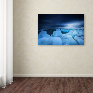 Philippe Sainte-Laudy 'Blue Monday' Canvas Art