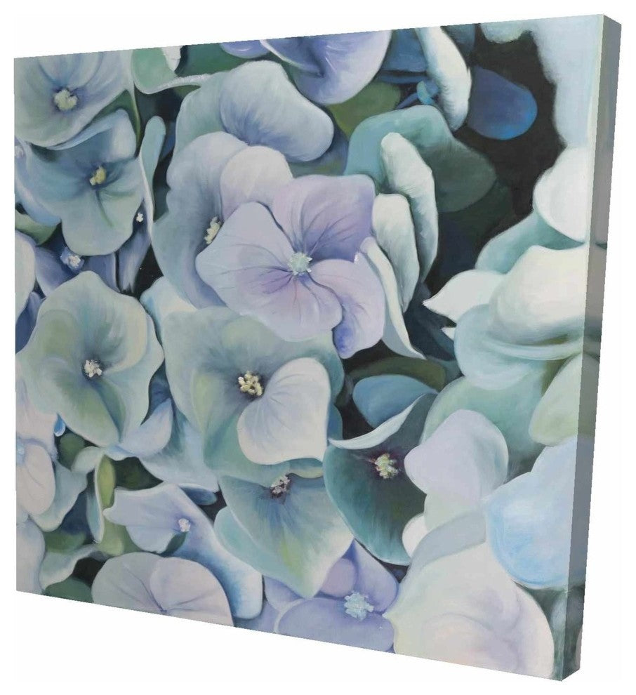 Hydrangea Plant, Fine Art Gallery Wrapped Canvas, 24"x24"