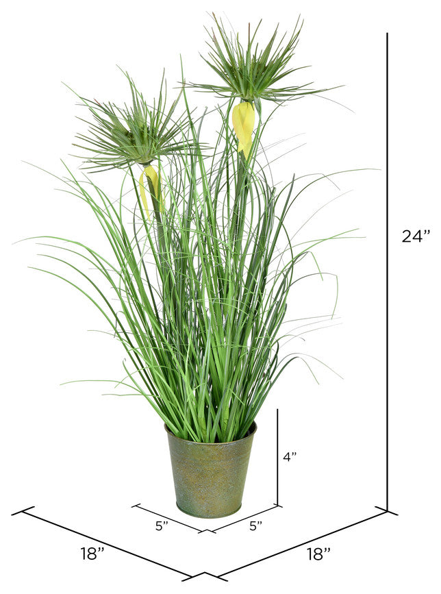 Vickerman 24" Green Cyperus Grass In Iron Pot