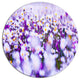 Daisy Field Photography Panorama, Floral Disc Metal Wall Art, 23"