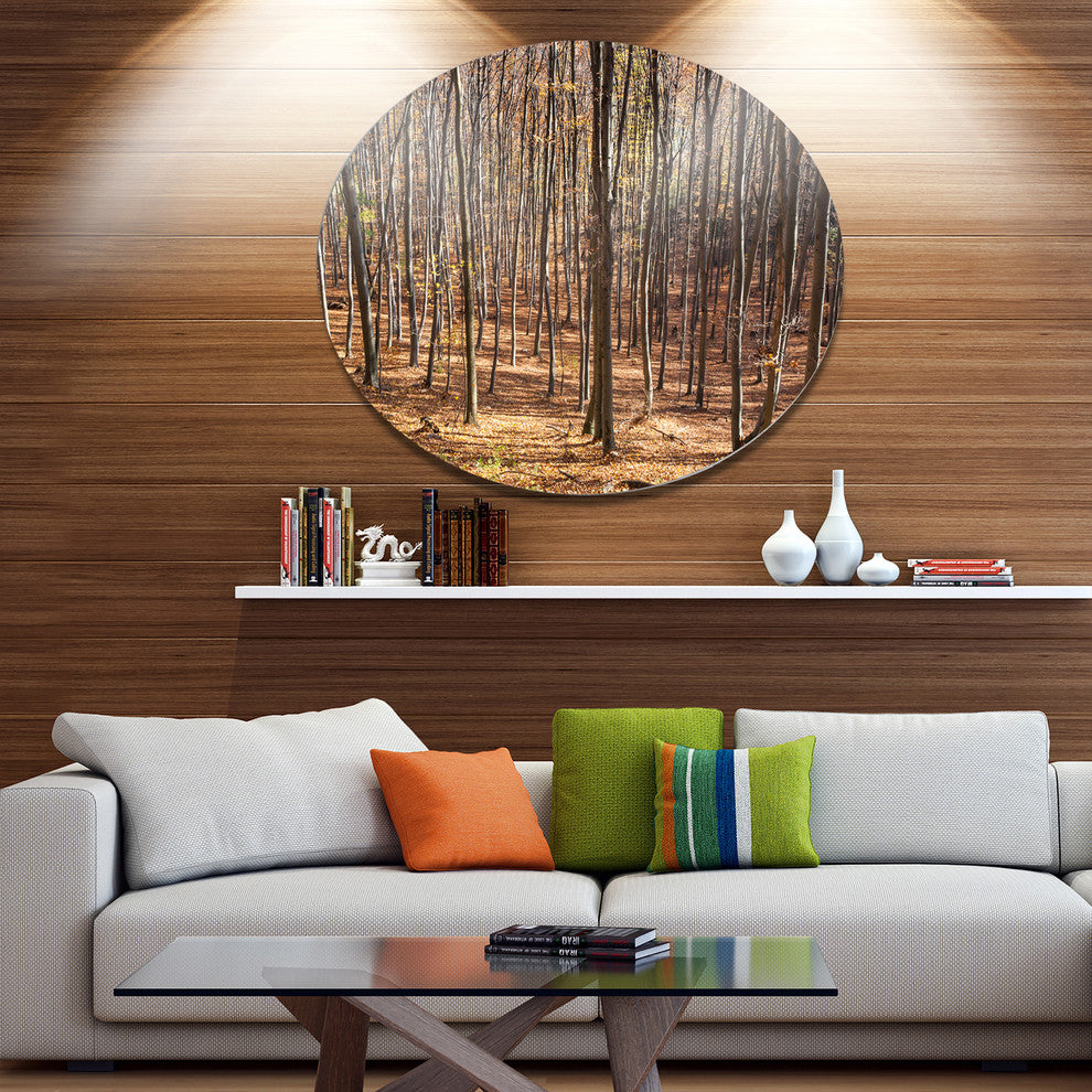 Thick Carpathian Deciduous Forest, Forest Large Disc Metal Artwork, 23"