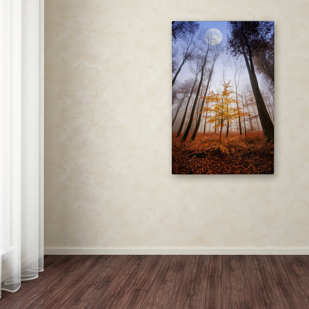 'Sentinel' Canvas Art by Philippe Sainte-Laudy