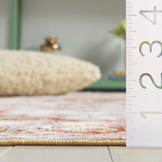 Safavieh Arizona Machine-Washable Collection ARZ305 Rug, Beige/Rust, 2'6"x8'